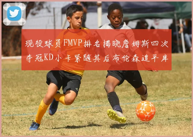 现役球员FMVP排名揭晓詹姆斯四次夺冠KD小卡紧随其后布伦森追平库里约基奇等