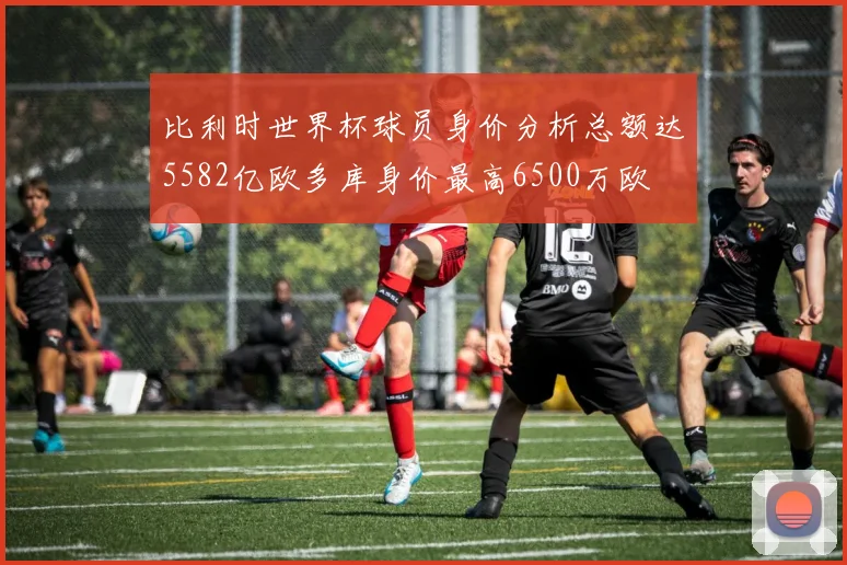 比利时世界杯球员身价分析总额达5582亿欧多库身价最高6500万欧