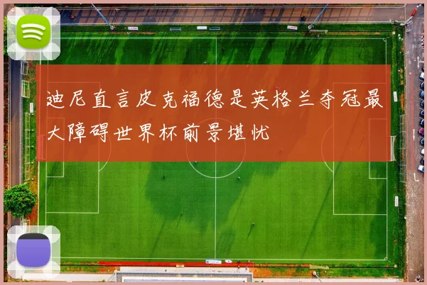 迪尼直言皮克福德是英格兰夺冠最大障碍世界杯前景堪忧